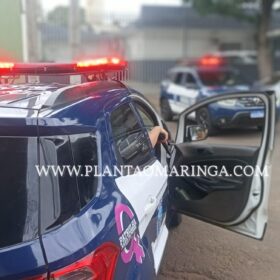 Fotos de Dois carros roubados foram apreendidos e quatro homens presos pela Guarda Civil Municipal de Sarandi