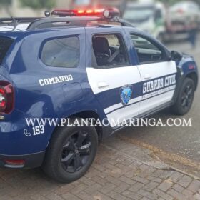 Fotos de Dois carros roubados foram apreendidos e quatro homens presos pela Guarda Civil Municipal de Sarandi
