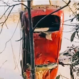 Fotos de Família desaparecida é encontrada morta dentro carro submerso em rio  