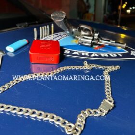 Fotos de Guarda Civil Municipal prende dupla armada e evita homicídio em Sarandi 
