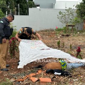 Fotos de Novas imagens mostram vítima sendo perseguida e pode ajuda polícia identifica suspeitos em Paiçandu