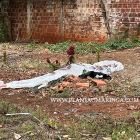 Fotos de Novas imagens mostram vítima sendo perseguida e pode ajuda polícia identifica suspeitos em Paiçandu