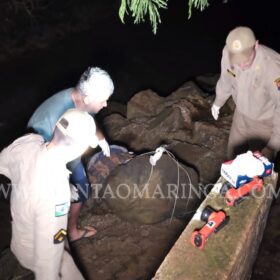 Fotos de Homem é morto e tem corpo jogado dentro de rio - A vítima estava enrolada em um saco plástico