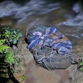 Fotos de Homem é morto e tem corpo jogado dentro de rio - A vítima estava enrolada em um saco plástico
