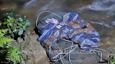 Fotos de Homem é morto e tem corpo jogado dentro de rio - A vítima estava enrolada em um saco plástico