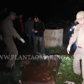 Fotos de Homem é morto e tem corpo jogado dentro de rio - A vítima estava enrolada em um saco plástico
