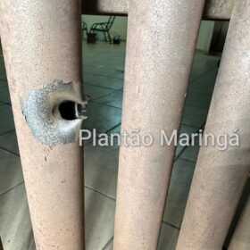 Homem é preso após atirar contra a ex-esposa e a filha de 7 anos, em Maringá Foto 16 Fotos de Homem é preso após atirar contra a ex-esposa e a filha de 7 anos, em Maringá