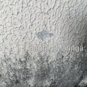 Homem é preso após atirar contra a ex-esposa e a filha de 7 anos, em Maringá Foto 5 Fotos de Homem é preso após atirar contra a ex-esposa e a filha de 7 anos, em Maringá