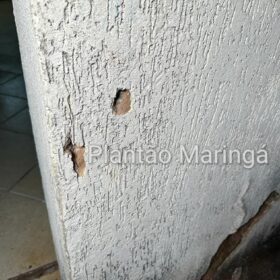 Fotos de Homem é preso após atirar contra a ex-esposa e a filha de 7 anos, em Maringá