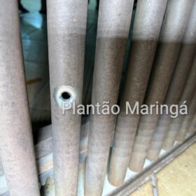 Homem é preso após atirar contra a ex-esposa e a filha de 7 anos, em Maringá Foto 10 Fotos de Homem é preso após atirar contra a ex-esposa e a filha de 7 anos, em Maringá