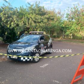 Homem é preso após invadir Cmei - Professora Iria de Castro armado com faca em Maringá Foto 1 Fotos de Homem é preso após invadir Cmei - Professora Iria de Castro armado com faca em Maringá