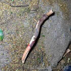 Fotos de Morre no hospital homem brutalmente espancado em Sarandi