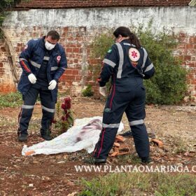 Fotos de Novas imagens mostram vítima sendo perseguida e pode ajuda polícia identifica suspeitos em Paiçandu