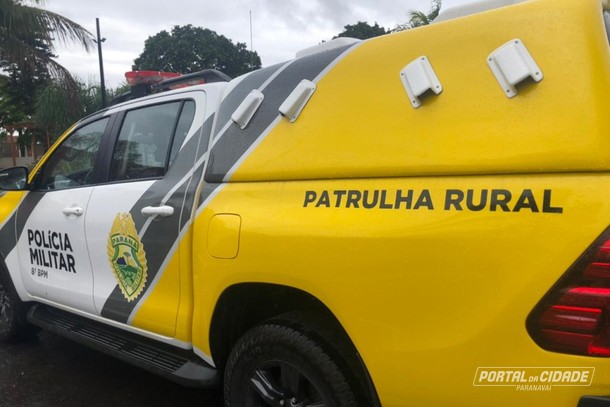 Fotos de Novilha é morta a tiro em propriedade rural na região de Maringá