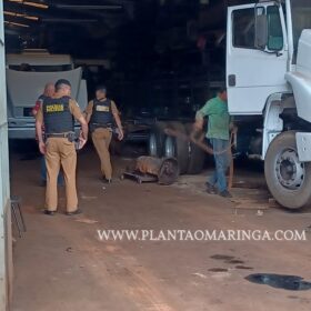 Fotos de Polícia recupera caminhão roubado no estado de São Paulo sendo desmanchado em Maringá 