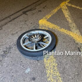 Fotos de Choque Canil localiza drogas na casa de criminoso preso após confronto em Maringá