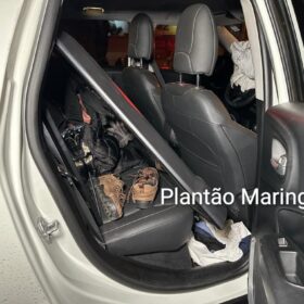 Fotos de Choque Canil localiza drogas na casa de criminoso preso após confronto em Maringá