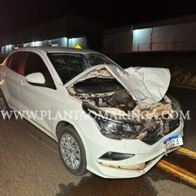 Fotos de Carro bate na traseira de motoneta e mata mulher de 41 anos 