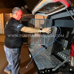 Fotos de Durante operação em Sarandi, polícia apreendem R$ 25 mil reais e uma máquina caça-níquel em uma tabacaria  