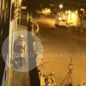 Fotos de Homem é filmado escalando sobrado e engatinhando para furtar cacto rabo-de-macaco em Sarandi; vídeo