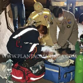 Fotos de Homem é intubado após ser atropelado por carro em Sarandi 