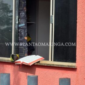 Fotos de Homem é morto após agredir esposa e atacar Guarda Civil Municipal com facão em Sarandi