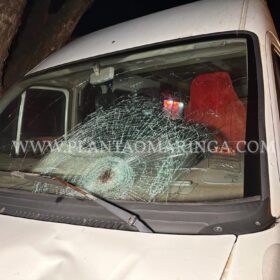 Homem sofre ferimentos graves após ser atropelado por veículo da prefeitura de Sarandi Foto 1 Fotos de Homem sofre ferimentos graves após ser atropelado por veículo da prefeitura de Sarandi