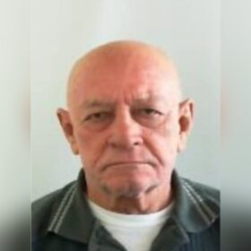 Fotos de Idoso de 79 anos morre após acidente de carro