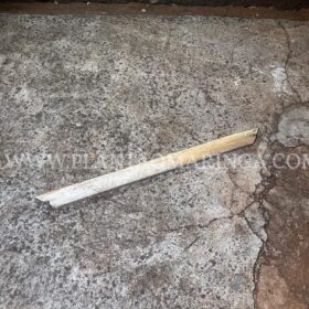 Fotos de Mãe e filho são agredidos a pauladas por traficantes em Maringá