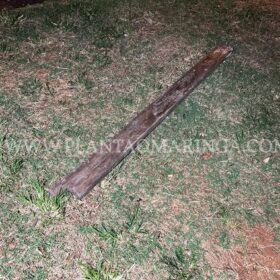 Fotos de Mãe e filho são agredidos a pauladas por traficantes em Maringá