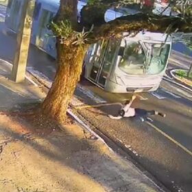 Fotos de Moça atropelada por ônibus enquanto andava de patinete elétrico em Maringá morre no hospital