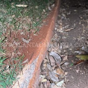 Fotos de Motociclista morre após perder controle e bater meio fio em Maringá 