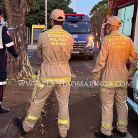 Fotos de Motorista avança preferencial provoca acidente e foge sem prestar socorro em Maringá 
