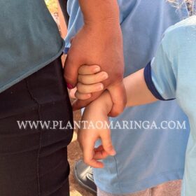 Fotos de Princípio de incêndio atinge CMEI e causa pânico em Sarandi