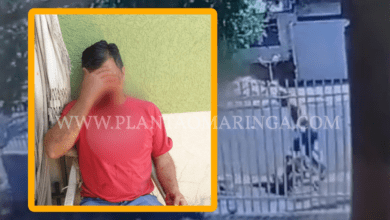 Fotos de Trabalhador tem rosto desfigurado após ser atacado por três cachorros da raça pitbulls 
