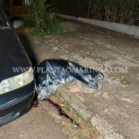 Fotos de Adolescente de 17 anos é executado com vários tiros em Maringá 