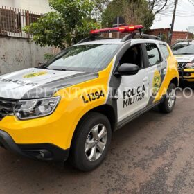 Fotos de Cachorro da raça pitbull é morto a facadas em Maringá