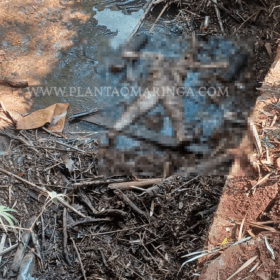 Fotos de Mulher é encontrada sem cabeça e nua dentro de córrego em Maringá