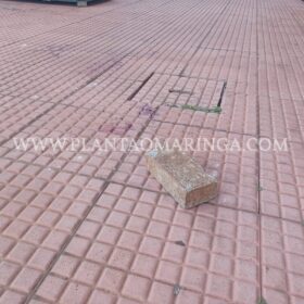 Fotos de Homem é agredido com tijoladas após brigas entre guardadores de carros em Maringá 