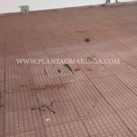 Fotos de Homem é agredido com tijoladas após brigas entre guardadores de carros em Maringá 