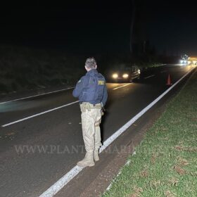 Fotos de Homem morre esmagado após ser atropelado por vários veículos entre Sarandi e Marialva