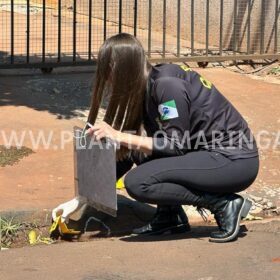 Fotos de Homem é morto a tiros na frente da esposa e filhos após ser vítima de emboscada em Sarandi 