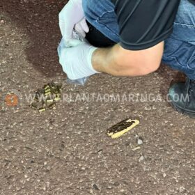 Fotos de Câmera registra homem sendo executado com 30 tiros na cabeça na frente do filho em Maringá