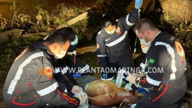 Fotos de Homem esfaqueado e agredido com tronco de árvore em Maringá morre no hospital  