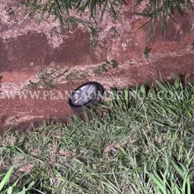 Fotos de Mãe e filhos morrem atropelados por ônibus em Maringá 