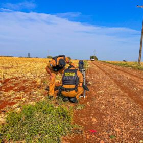 Fotos de Moto furtada é encontrada depenada na Zona Rural de Maringá  