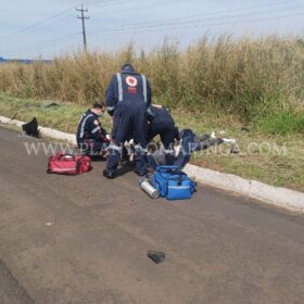 Fotos de Motorista morre após ser ejetado em capotamento em Maringá