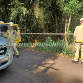 Fotos de Mulher é encontrada sem cabeça e nua dentro de córrego em Maringá