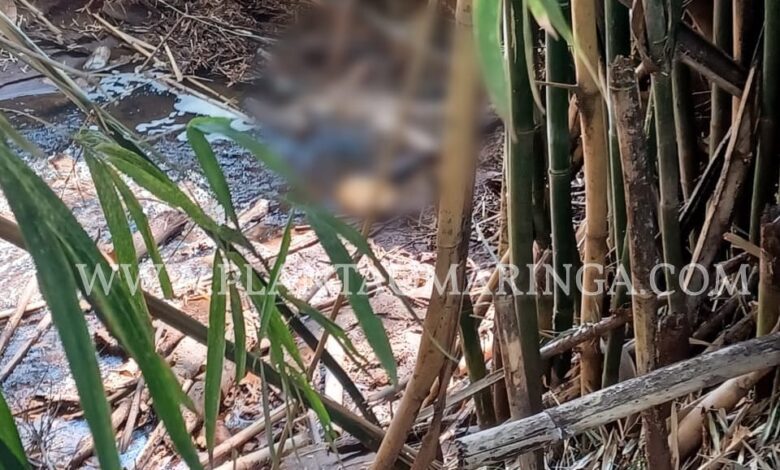 Mulher é encontrada sem cabeça e nua dentro de córrego em Maringá Foto 1 Fotos de Mulher é encontrada sem cabeça e nua dentro de córrego em Maringá