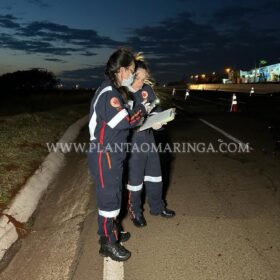 Fotos de Mulher morre após cair de moto e ser atropelada por vários veículos em Maringá